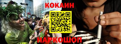 молекула духа Кингисепп