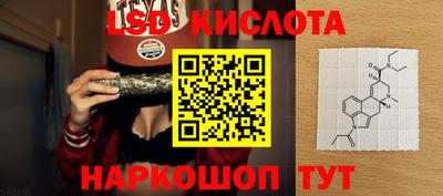 молекула духа Кингисепп