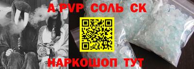 молекула духа Кингисепп