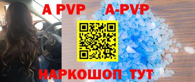 молекула духа Кингисепп