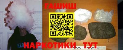 молекула духа Кингисепп