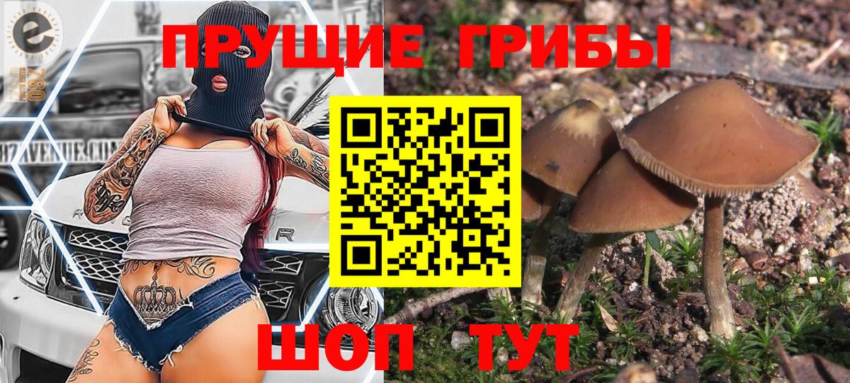 Галлюциногенные грибы Cubensis Краснодар