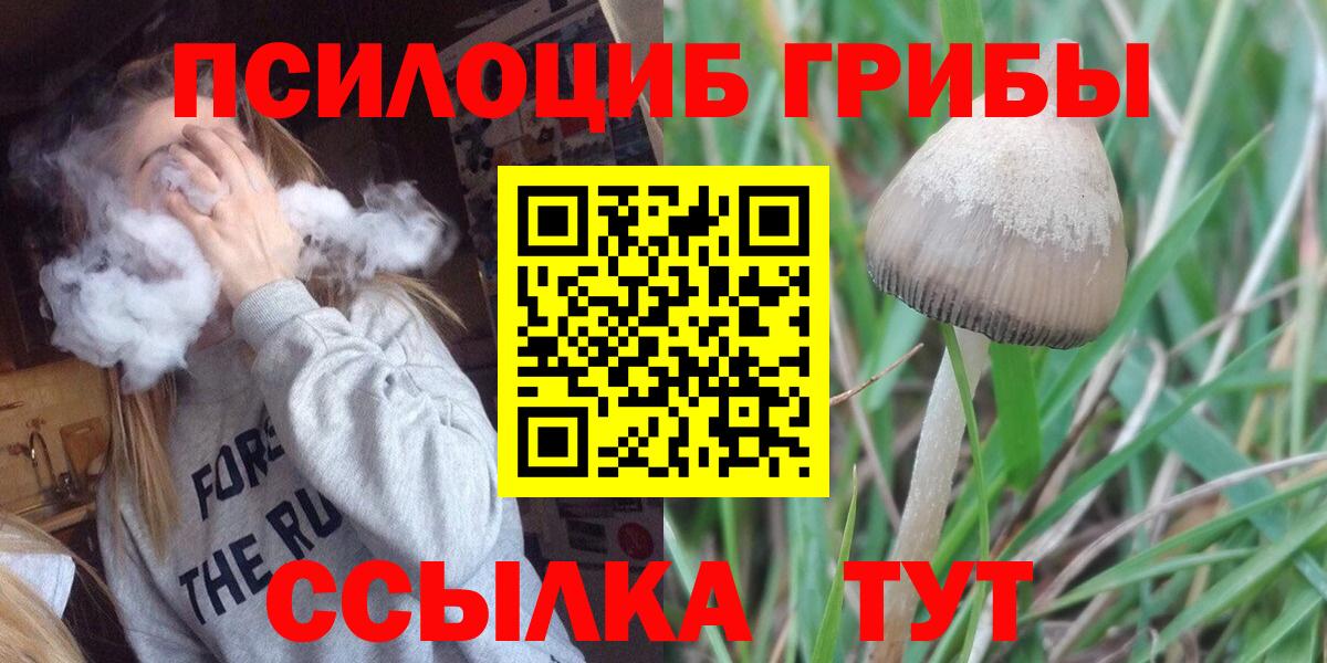 наркотики  Галлюциногенные грибы Magic Shrooms  Вход с VPN  Краснодар 